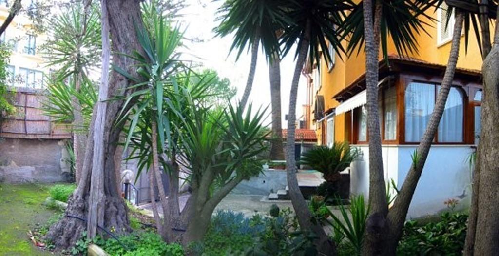 Villa Orchidea Sorrento Rum bild